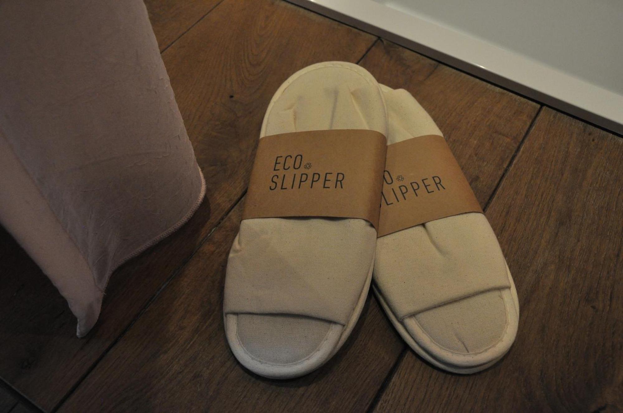 Schopenhauer Bed & Breakfast Ghent Luaran gambar
